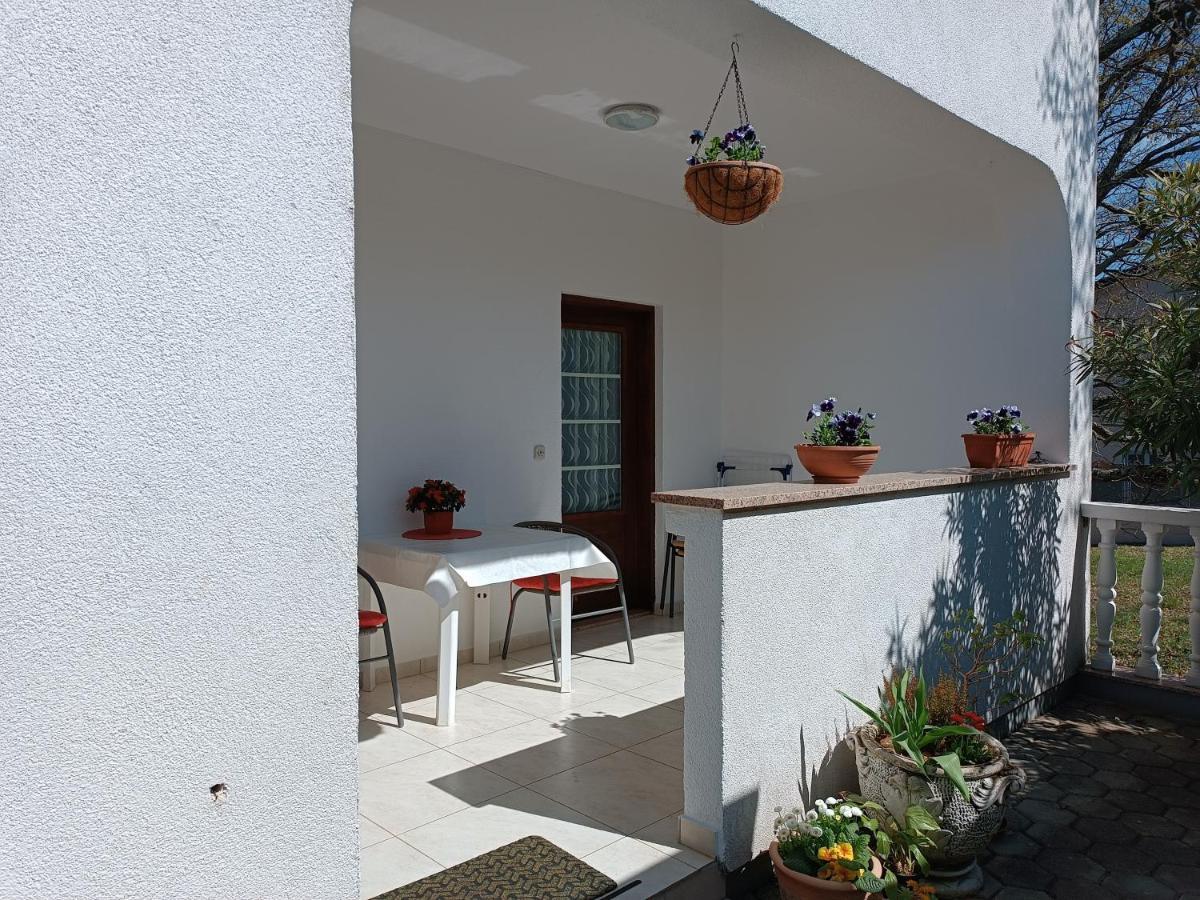Apartments Ivicek Poreč Zewnętrze zdjęcie